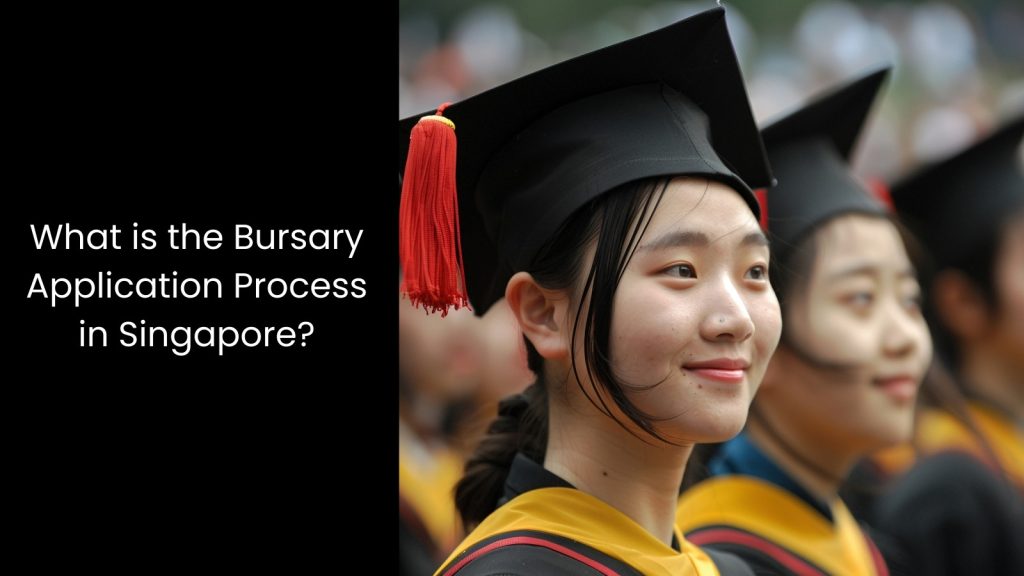 what-singapore-need-systematic-bursary-tigernix