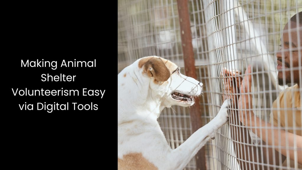 making-animal-shelter-volunteerism-easy-digital-tools-tigernix-singapore