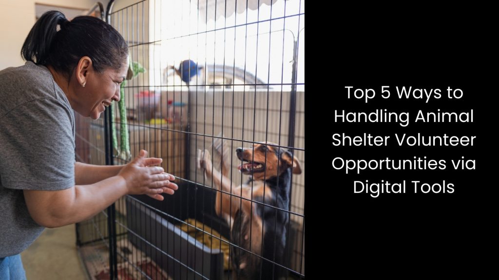 top-5-five-ways-animal-shelter-volunteer-opportunities-digital-tools-tigernix-singapore