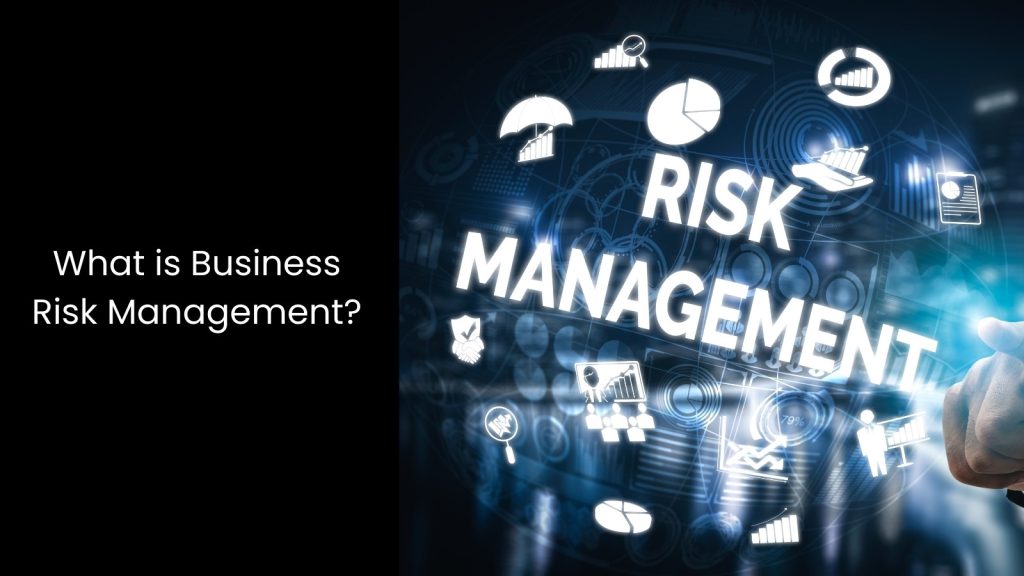 what-business-risk-management-plan-tigernix-singapore