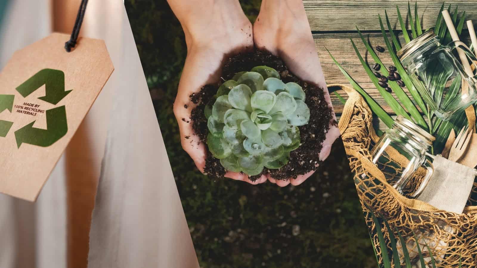 top-5-sustainability-business-trends-2025-tigernix-singapore