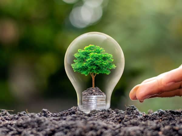 Energy Management