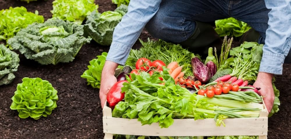 Why are Consumers Choosing Organic?
